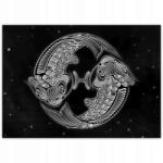 ZeSmakiem Poszterek 70x50 Csillagjegy fekete-fehér Halak Pisces (SF45M_PL1G_70x50cm)