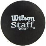 Wilson Staff Red Dot Piros Pöttyös 2 Squash Labda (WRT617700)