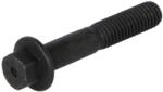 FPT Surub Chiulasa Chiuloasa Case; New Holland (4899078-FPT)
