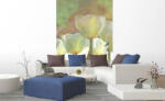 DIMEX ART Nem szőtt fotótapéta a falra fehér tulipán absztrakt 150 x 250 cm (MS-2-0385)