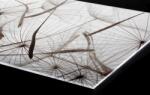 DIMEX ART Plexi a konyhapult mögött pitypang pihe - 60 x 40 cm (PGT-06040-050)