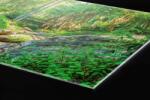 DIMEX ART Plexi a konyhapult mögött botanikus kert - 240 x 60 cm (PGT-24060-134)
