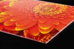 DIMEX ART Plexi a konyhapult mögött gerbera - 80 x 60 cm (PGT-08060-059)