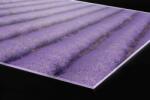 DIMEX ART Plexi a konyhapult mögött levendula - 80 x 40 cm (PGT-08040-029)