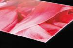 DIMEX ART Plexi a konyhapult mögött piros szirmok - 180 x 60 cm (PGT-18060-056)