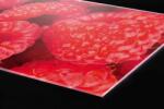 DIMEX ART Plexi a konyhapult mögött málna - 60 x 40 cm (PGT-06040-004)
