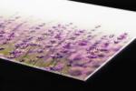 DIMEX ART Plexi a konyhapult mögött levendula mező - 60 x 40 cm (PGT-06040-125)