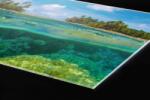 DIMEX ART Plexi a konyhapult mögött korallzátony - 240 x 60 cm (PGT-24060-013)