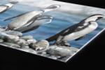 DIMEX ART Plexi a konyhapult mögött pingvinek - 240 x 60 cm (PGT-24060-112)