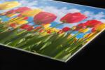 DIMEX ART Plexi a konyhapult mögött tulipán mező - 60 x 40 cm (PGT-06040-131)