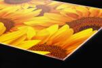 DIMEX ART Plexi a konyhapult mögött napraforgó - 60 x 40 cm (PGT-06040-051)