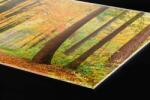 DIMEX ART Plexi a konyhapult mögött őszi erdő - 60 x 40 cm (PGT-06040-045)