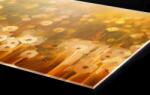 DIMEX ART Plexi a konyhapult mögött vintage mező pitypang - 100 x 60 cm (PGT-10060-209)