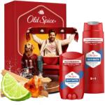 Old Spice Sports Fan, 300 ml