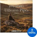 Libre Wave Dicky Deegan's Uilleann Pipes (Produs digital)