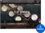 Soundiron Hopkin Intrumentarium: Flat Gongs (Produs digital)