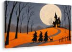 Dovido Tablou vrăjitoare sub luna plină - 30x20