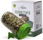 Dénes Natura Recipient pentru germinare din sticlă - verde (1buc)