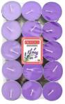 Provence Lumânări parfumate tip pastilă Provence cu parfum de lavandă, 30 buc