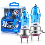 Pegasus Set 2 becuri auto H7 Pegasus Xenon Effect, Halogen, 6000K, 1500 lm, 12V, 100W/set (DR8_203_pegasush7)