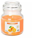 BISPOL Lumânare portocalie 120g