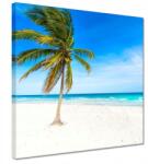 ZeSmakiem Vászonkép 30x30 Trópusok Tájkép Pálma (H5603M_PC1AI_30x30cm)