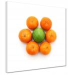 ZeSmakiem Festmények 30x30 Mandarin kompozíció (H1781M_PC1AI_30x30cm)