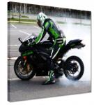 ZeSmakiem Vászonkép 30x30 Kawasaki Ninja ZX-6R (H1843Z_PC1AI_30x30cm)