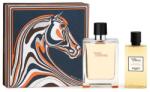 Hermès Hermes Terre D'hermes Apă de toaletă Spray Locion Corporal 100ml