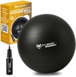 EVI Rehabilitációs Gimnasztikai Labda Fitnesz Edzőterem 75cm Ebook (SHP-1021)