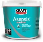 KRAFT Asepsis PROTECT Antibacterian&Antimucegai (Marime: 15L, Tip finisaj: Satin) (FINI-000075) - fini-house - 663,32 RON
