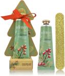 Accentra Winter Spa Hand Care Set set cadou pentru maini si unghii