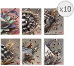 Elisa Print 10 db-os A5-ös füzet szett, 48 lapos, 80 g/m2, 300 g/m2 kartonborító, 3D Arts dizájn, Négyzetrácsos (EP-022129-10)