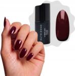 Nutridome Hibrid Uv Led körömlakk manikűr 017 Cherry Chocolate Nutridome (lakier hybrydowy do stylizacji paznokci)