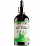 Pure Chemical Borsmenta Illóolaj Természetes Borsmenta Illóolaj 100ml (OLEJ Z MIĘTY PIEPRZOWEJ ETERYCZNY 100 ml)