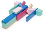 tegu Blossom, set 24 piese din lemn magnetic (T-24P-BSM-607T)