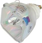 Epson ELPLP29 (V13H010L29) lampă originală fără modul (ELPLP29)