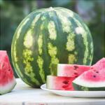 Pepiniera României Semințe de Pepene Verde „Crimson Sweet, 2g (SEM00673-PEP)