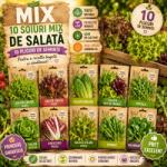 Pepiniera României MIX 10 BUC Semințe Salată (SEM002752-PEP)