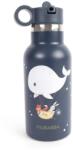 FILIBABBA STICLĂ DE BĂUT FILIBABBA DIN OȚEL INOXIDABIL NORDIC 350ML Variantă: DREAMY ADVENTURERS