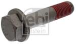 Febi Bilstein Surub 18396 (18396)