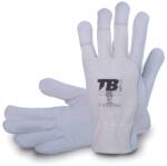 CERVA TB 182IB / Mănuși combinate - albe 10 (0101021499100)