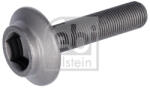 Febi Bilstein Surub 31324 (31324)