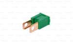 Bosch Siguranta fuzibila 1 987 529 069 (1 987 529 069)