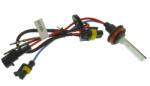 AVC Xenon izzó H11 4300K (50434)
