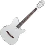 Ibanez TOD10N-SMF 4/4 Silver Metallic Flat Elektro-klasszikus gitár