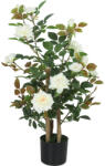 Homcom Műnövény, rózsa, 4 törzsű, cserépben, 90 cm, fehér (83C-214V00WT)