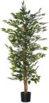 Homcom Műnövény, fikusz, cserépben, 150 cm (830-452)