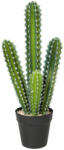 Homcom Műnövény, kaktusz, cserépben, 53 cm (83C-207V00GN)