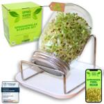 Green SEEDS Sprossenzauber csíráztatóüveg 1 db, 500 ml, rozsdamentes acél fedéllel és gyűjtőtálcával, brokkoli, alfalfa, kresse csíráztatáshoz, kezdőkészlet